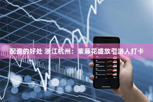 配资的好处 浙江杭州：紫藤花盛放引游人打卡